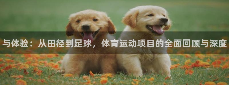 JJB竞技宝官网下载是干嘛的公司：与体验：从田径到足