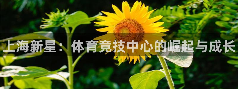 JJB竞技宝官方正版app娱乐首页网站大全：上海新星：体育竞
