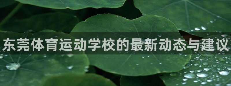 JJB竞技宝官网下载平台注册要钱吗是真的吗：东莞体育运动学校