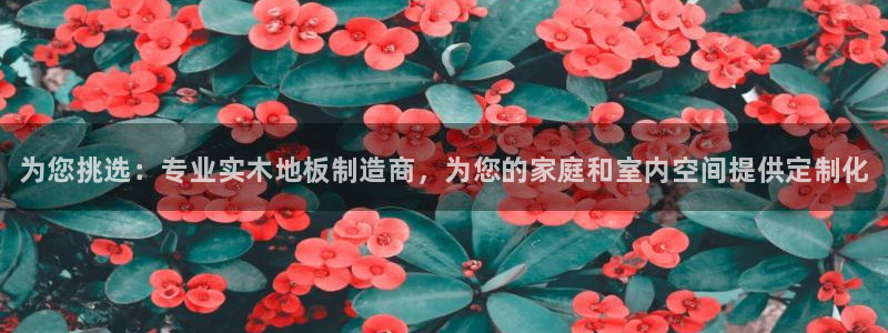 JJB竞技宝官网下载招商电话地址：为您挑选：专业实木地板制造