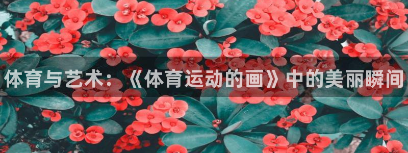 JJB竞技宝官方正版app新能源：体育与艺术：《体育