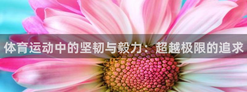 JJB竞技宝官网下载招商电话号码是多少号