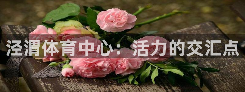 JJB竞技宝官方正版app娱乐平台：泾渭体育中心：活力的交汇