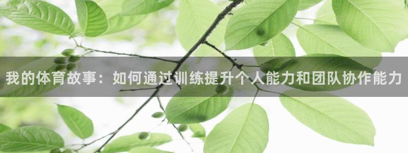 JJB竞技宝官方正版app娱乐下载：我的体育故事：如何通过训
