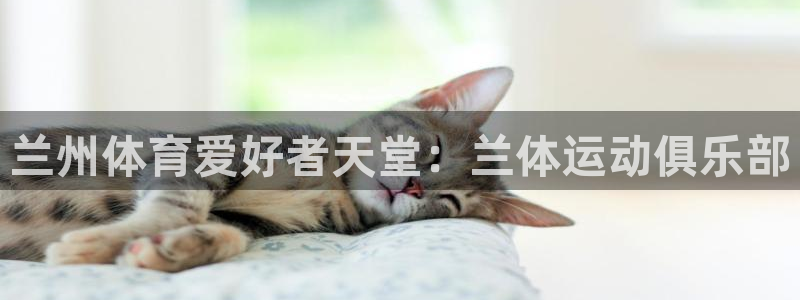 JJB竞技宝官方正版app代理：兰州体育爱好者天堂：兰体运动