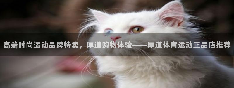 JJB竞技宝官网下载招商电话号码是多少：高端时尚运动品牌特卖