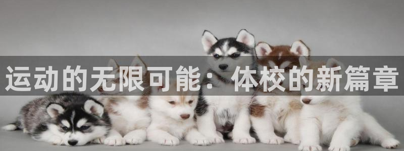 JJB竞技宝官网下载招商电话是多少啊：运动的无限可能