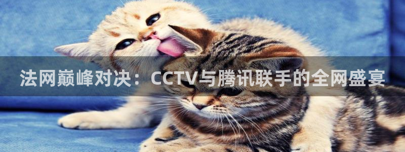 体育极速直播：法网巅峰对决：CCTV与腾讯联手的全网盛宴