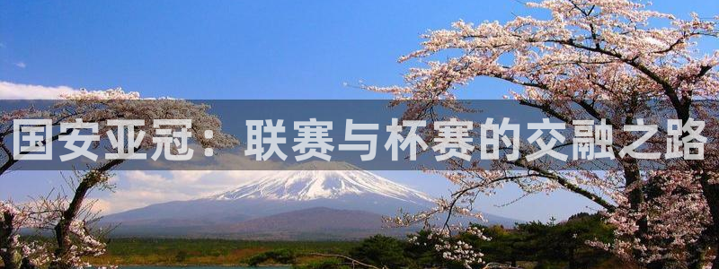 nba直播极速体育高清：国安亚冠：联赛与杯赛的交融之路