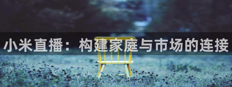 篮球极速体育直播吧：小米直播：构建家庭与市场的连接