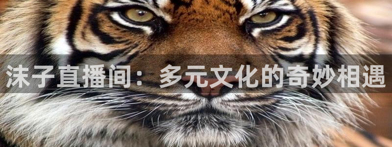 极速体育英超直播：沫子直播间：多元文化的奇妙相遇
