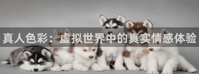 nba免费直播 极速体育：真人色彩：虚拟世界中的真实情感体验