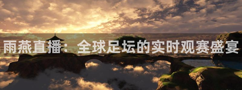 极速直播nba体育直：雨燕直播：全球足坛的实时观赛盛宴