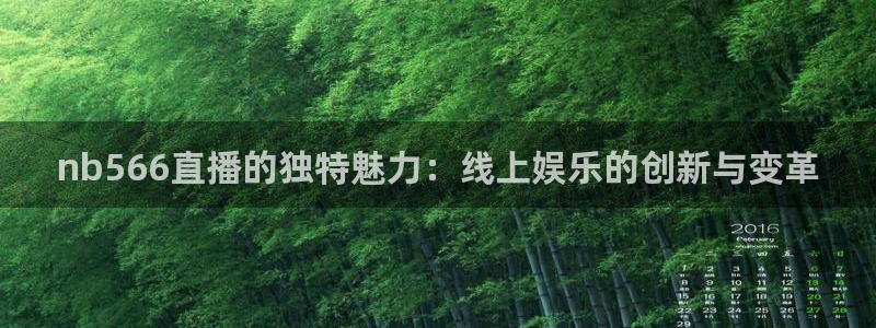 极速体育nba直播在线观看：nb566直播的独特魅力：线上娱乐的创新与变革