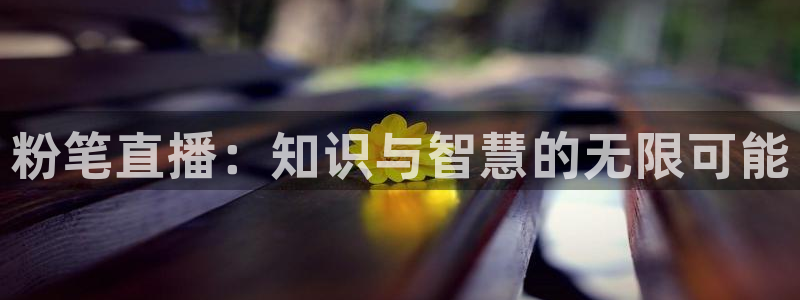 极速直播体育nba直播在线观看：粉笔直播：知识与智慧的无限可能