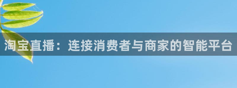 极速体育nba直播吧篮球：淘宝直播：连接消费者与商家的智能平台